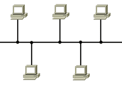 rede de ordenadores en bus