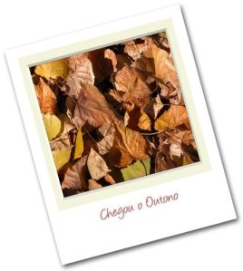 foto polaroid do outono