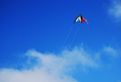 dia da ciencia en galego